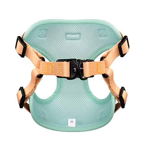 Jack & Bully Dog Harness, No Pull Vest Step-In Adjustable Neoprene Soft With Breathable Mesh, All Weather, French Bulldog (Medium) #TOP2