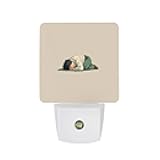 CMQHYF Plug in Night Light with LED & Smart Light Sensor, Time Under Paper Auto-On/Off Night Lights Plug Into Wall for Bedroom, Bathroom, Hallway, Stairway