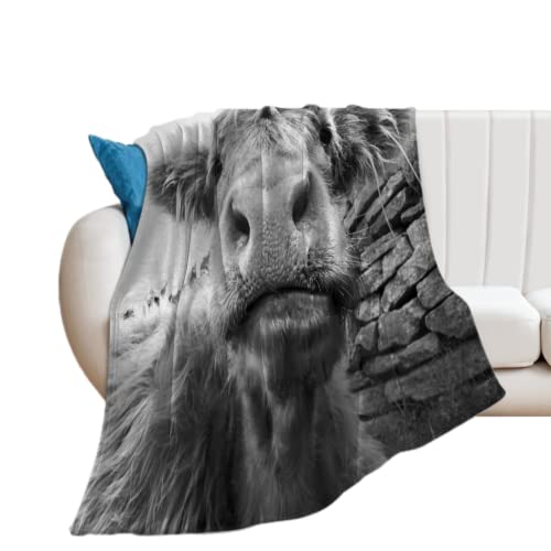 Yrigsun Gray Cow Farm Animal Throw Blanket Cattle Warm Flannel Blanket Western Cowboy Funny Throw Blanket Wildlife Farmhouse Cow Bed Blanket Grey Plush Blanket For Sofa 50"X40" #TOP5
