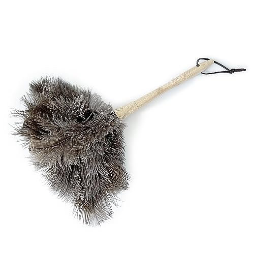 the reset オーストリッチ羽根はたき - ブラックダチョウの毛でほこり取り、部屋と車の掃除に最適なハンディモップ