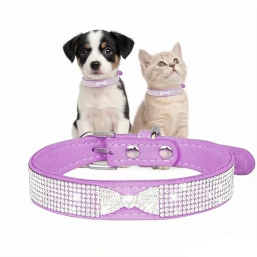 Collar de perro pequeño cachorro o gato con diamantes de imitación morado M 2