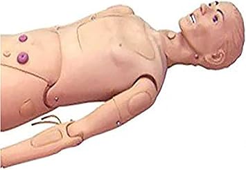Multi-Functional Training CPR Simulator Male and Female Nursing Manikin Human Anatomical Model for Nursing Medical Training