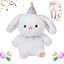 Birthday Bunny