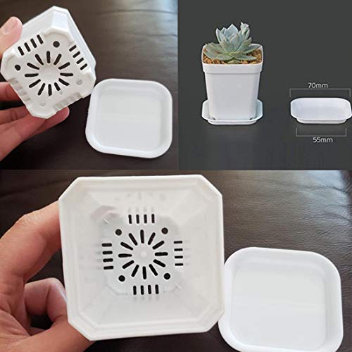 24 Pack 3 Inch White Square Plastic Plant Pots With Saucer,Seedling Nursery Transplanting Planter Container,White Square Plastic Plant Potsfor Succulents,Flowers,Cactus,Garden Office And Balcony Decor #TOP5