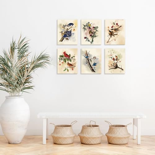 Image of CHDITB Vintage Bird Framed Canvas Wall Art, Spring Birds Illustration, Nature Wildlife Wall Decor, Botanical Bird Poster, Retro Watercolor Art Prints For Living Room Bedroom Kitchen Decor 8 inchX10 inchx6