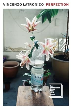 Cover of Perfection