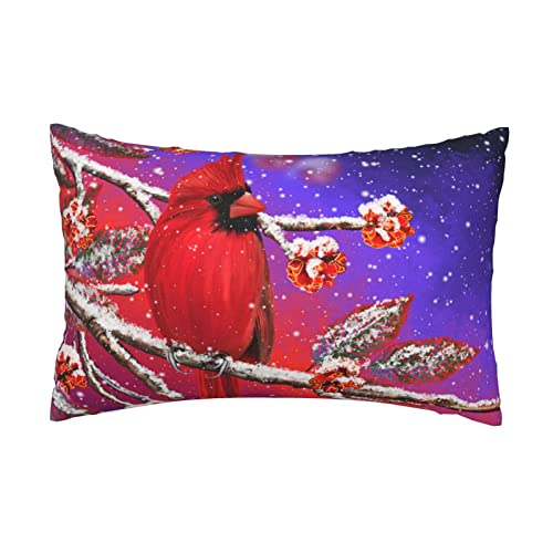 Fundas de almohada para sofá, sofá, hogar, dormitorio, estampado en ambos lados, 16 x 24 pulgadas Cover