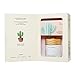 ROUND A'ROUND Cactus Diffuser (Bilberry Cactus) | Fragrances Reed Diffuser, cute shaped design with Light, Bilberry, Clean, Green, refreshing scent for House, Home, Office 3.37 fl.oz. 100ml
