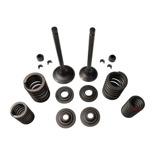 Kit de reconstrucción de culata 350 juntas muelles retenes válvulas motor