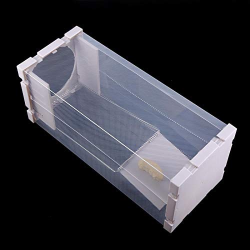 Humane rattenval, muizen Knaagdieren Kooi Levend dier Humane valvangst Ongedierte Knaagdieren Muizen Muiscontrole Aas… - Image 7