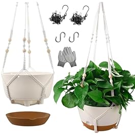 10 Inch Hanging Planters...