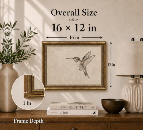 Image of Gold Framed 3D Textured Wall Art, Vintage Sketch Hummingbird Canvas Prints, Minimalist Neutral Birds Pictures Decor, Antique Naturalist Specimen Painting Artwork for Living Room Bathroom 12x16 in