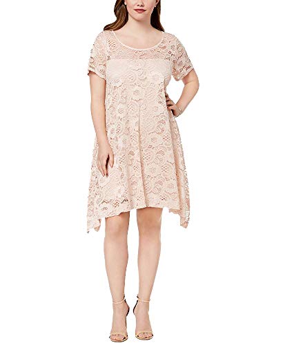Amazon.com: Robbie Bee Plus Size Lace A Line Dress Dusty Pink 3X :  Clothing, Shoes & Jewelry