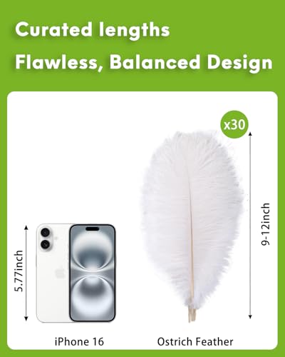 image for NEWONG 30pcs White Ostrich Feathers Natural Bulk 9-12inch(23-30cm) Vas