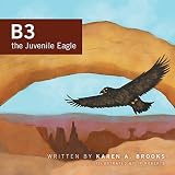 B3 the Juvenile Eagle