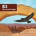 B3 the Juvenile Eagle