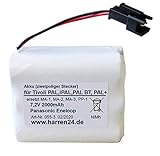 Lieferumfang: 1 Akkupack, passend für Tivoli PAL / iPAL / PAL + / PAL BT
