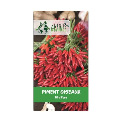 190 graines piment bird's eyes - piments oiseaux -