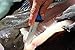 OUTDOOR EDGE Fillet Knife Set | ReelFlex Pak Features 3 Razor-Sharp Flexible Fillet Knives | 6