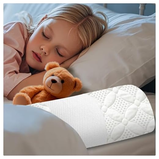 41wWWF94auL._SS520_ Best twin bed guard rails