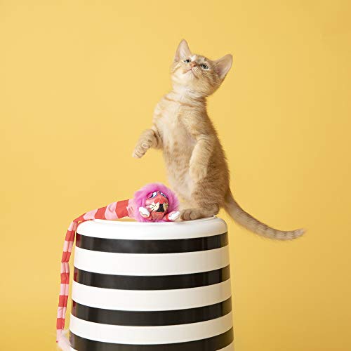 Brinquedo Fatcat Tailchasers Verde para Gatos Fatcat para Gatos, Verde