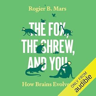 The Fox, the Shrew, and You cover art