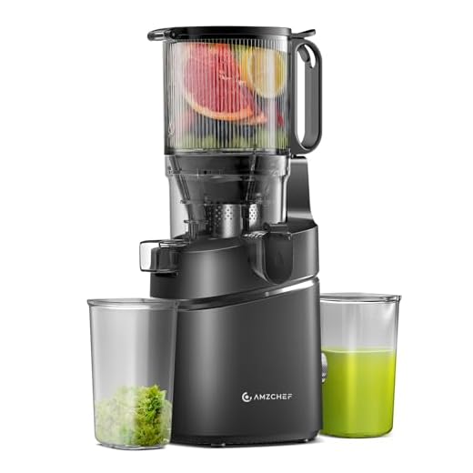 AMZCHEF Automatic Cold Press Juicer Machines 250W Liberate Your Hands -145MM Opening and 2L Capacity Slow Juicers for Whole Fruit and Vegetable, with Triple Filter, Safety Lock, Classic Black