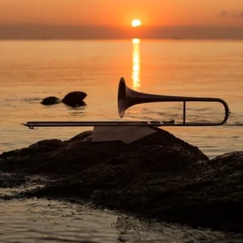 Marux&iacute;a na fronteira n&uacute;mero 192-2026