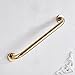 Leyden Brass Shower Grab Bar，Gold Support Bar Bathroom Hand Safety Handrail for Elderly Wall Senior Rail Handle for Tub, Toilet 12 Inch