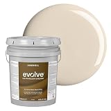 EVOLVE Paint and Primer