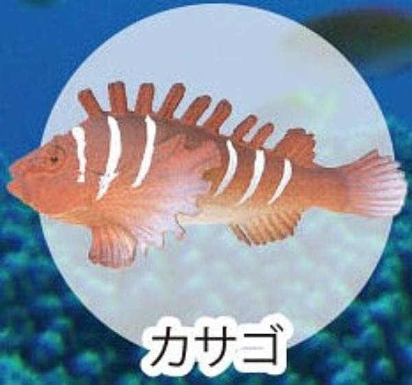 Amazon | 【カサゴ】海洋生物大集合:Reミニフィギュアコレクション