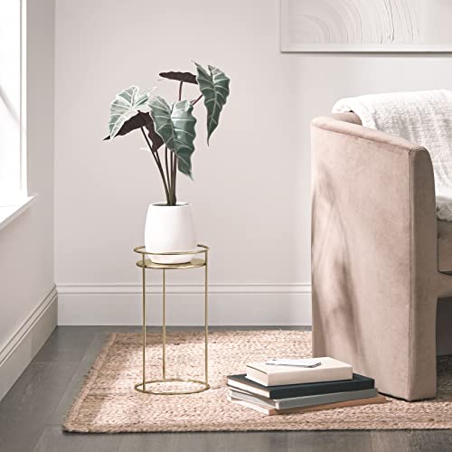 Mdesign Metal 15-Inch Tall Circular Plant Stand, Planter Holder Contemporary Design Round Tray For Table, Garden; Holds Indoor/Outdoor Plants, Flower Pot - Concerto Collection - 2 Pack - Soft Brass #TOP2