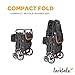 Larktale Caravan - 200 lbs. Capacity, Double Seater Collapsible Wagon, All-Terrain Stroller Wagon for Kids and Babies - 2023 Version - Byron Black