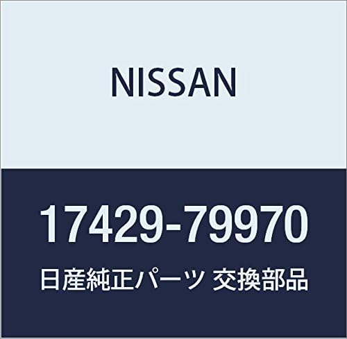 Nissan 17429 79970