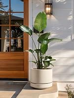 LE TAUCI Keramik Blumentopf Groß 35 cm mit Untersetzer, Großer Pflanzkübel für Außen & Innen, mit Drainageloch, Netz, Unglasiert & Atmungsaktiv, Modern für Terrasse – Sand-Beige – Ansicht 6