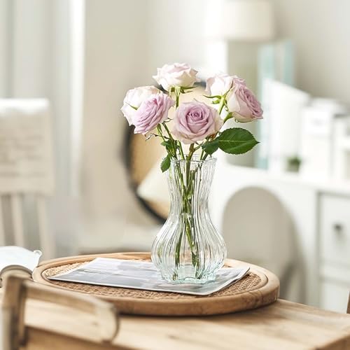 Vase en Verre Transparent 20,5cm,Vase à Fleurs Décoration Vases en Verre pour Tulipe, Grand Vases pour Décoration de Table Ou de Halloween Noël Mariage La Maison, Bureau Fête – Image 6