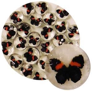 Butterfly Millefiori - 96 Coe