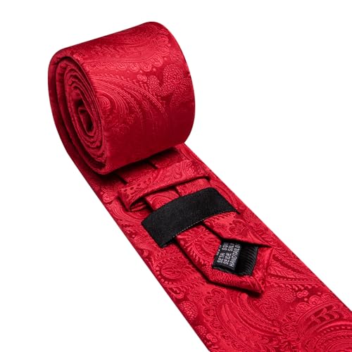 Image of Barry.Wang Paisley Tie for Men Silk Woven Necktie and Tie Clip Set Wedding Party Business Formal