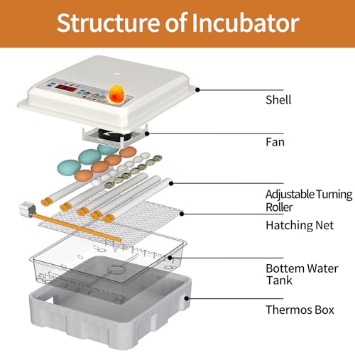 16 Uova Incubatrice Digitale Automatica Uova Fattoria Uova Girando Pollame Controllo Temperatura Bianco - immagine 8