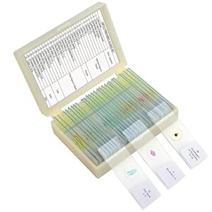 Kueohse Mikroskop-Objektträger für Kinder