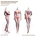 Leying Modello di Corpo Femminile Grasso in Scala 1/6 può Muoversi Senza Soluzione di continuità Bambola in Silicone Scheletro d'Acciaio (S28A)