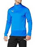 PUMA Herren teamGOAL 23 Training 1/4 Zip T Pullover, Electric Blue Lemonade-Team Power Blue, L