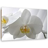 INFOS TECHNIQUES : Le papier satiné de 200 g/m2 collé soigneusement sur le panneau HDF de 3 mm d'épaisseur. Cette image design est fixée sur le cadre en MDF de 16 mm d'épaisseur dissimulé à l'arrière pour créer un effet dimensionnel.