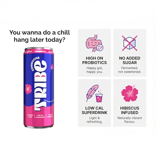 Image of Tribe Kombucha Probiotic Super Drink | Supports Gut Health | Gluten-Free | Naturally Fermented | Super Refreshing | Gut Friendly | Improves Blood Sugar | Antioxidant and Hydration | No Added Sugar | 250 ML X 6 (ZESTY GINGERADE + HIII BISCUS)