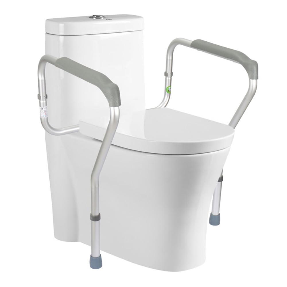 Buy Etelux Toilet Frame for Disabled and Elderly, Toilet Safety Frames with Arms Disabled Toilet
