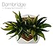 Bornbridge Artificial Succulent - Fake Succulent in Planter - Faux Succulent with Ceramic Geometric Planter - Artificial Potted Plant (1 Pack, Aloe)