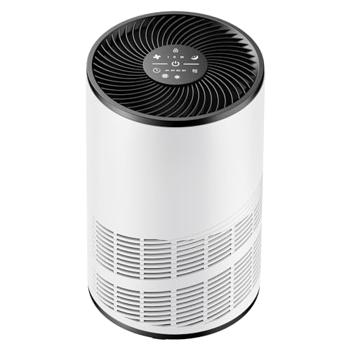 DUMOS Air Purifier with H13 HEPA Filter