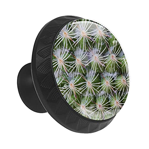 Boutons de tiroir cactus pour remplacer les poignées ternes de commode - 3
