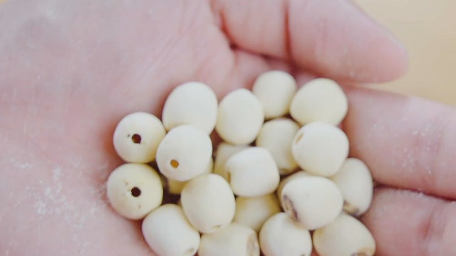 Amazon.com : Dried Lotus Seeds 17.63 Ounce 500g : Grocery