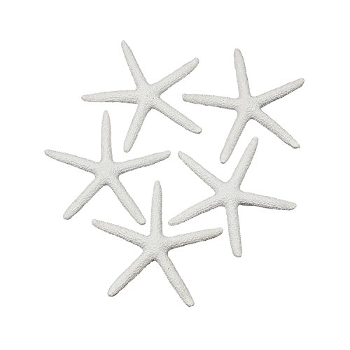 LJY 25 Pcs Artificial Resin Starfish, Mini Sea Stars for Crafts Aquarium Decoration, Vase Fillers - Image 2